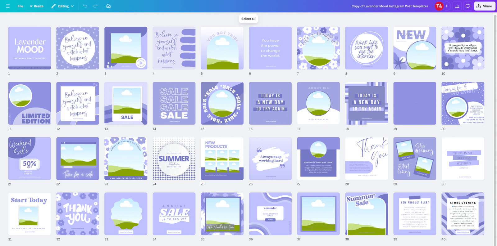 40 Aesthetic Canva Templates for Small Businesses, Boutiques, Ecommerce, Retail - Image 2